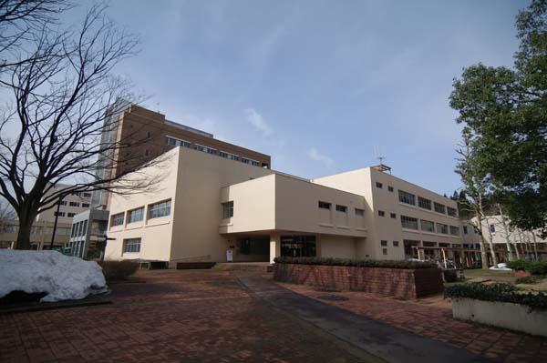 IMGP3856