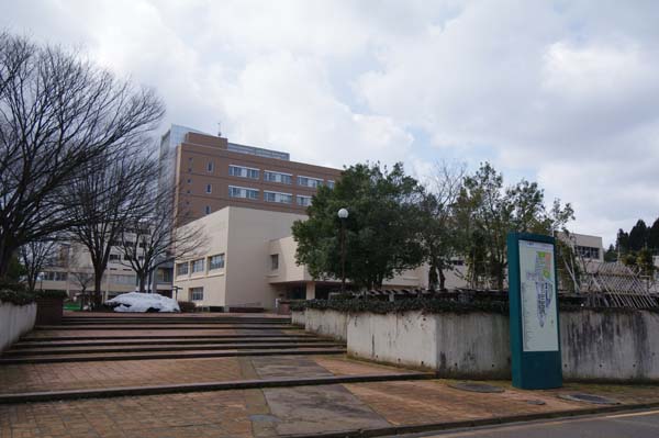 IMGP3924